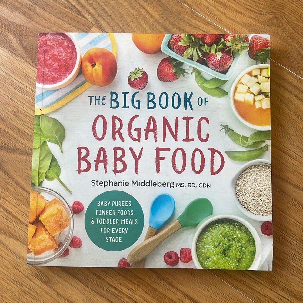 The Big Book of Organic Baby Food